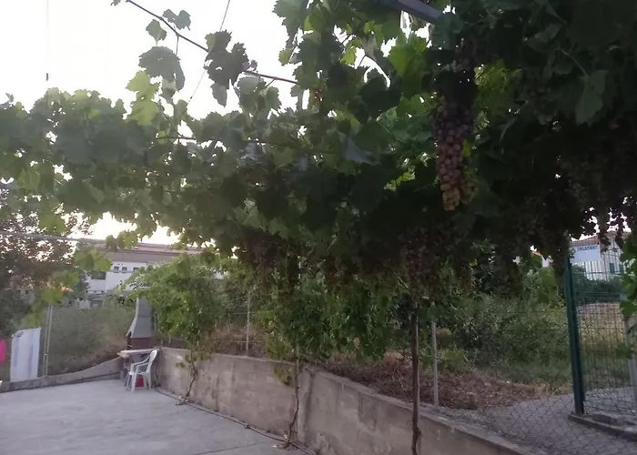 公寓 Goga2 皮罗瓦茨